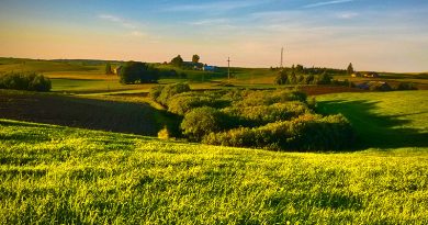 Wiżajny na motocyklu